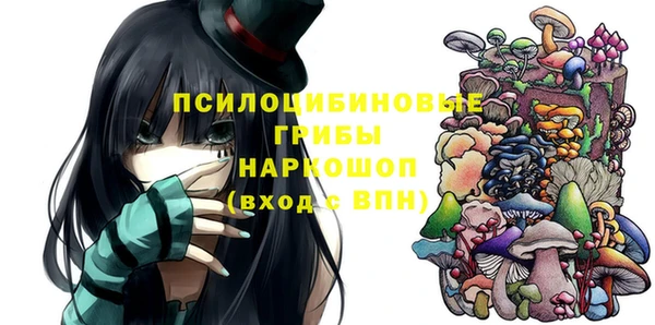 первитин Медвежьегорск