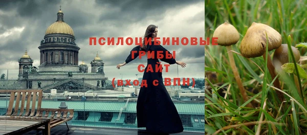 jwh Медногорск