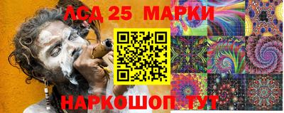 сатива Гатчина