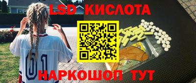сатива Гатчина