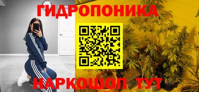 прущие грибы Балаково