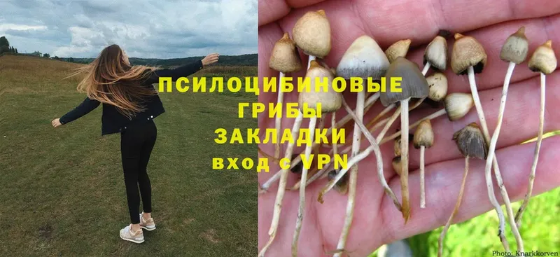 OMG tor  Еманжелинск  Псилоцибиновые грибы MAGIC MUSHROOMS  купить наркотик 