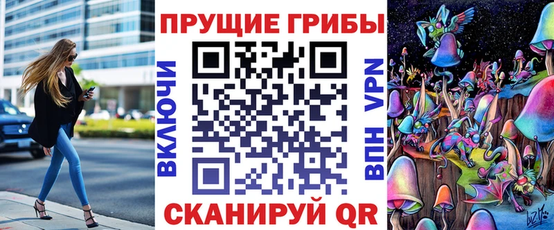 что такое   Еманжелинск  Галлюциногенные грибы Psilocybine cubensis 
