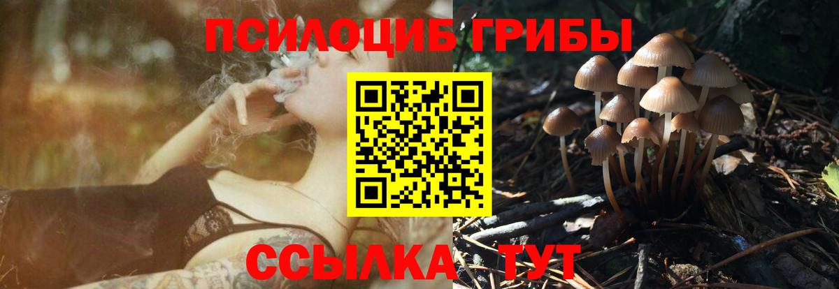 Псилоцибиновые грибы Magic Shrooms Еманжелинск